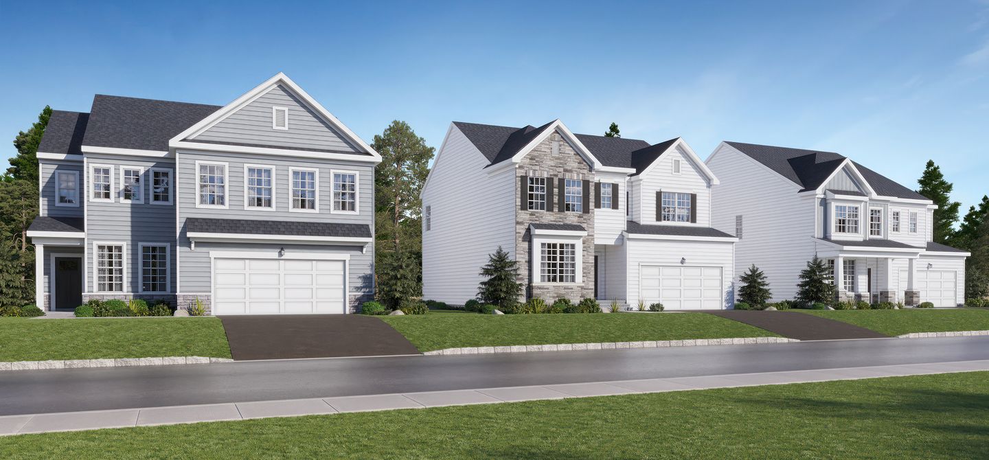 Reserve Turgyan Farm Streetscape 100325