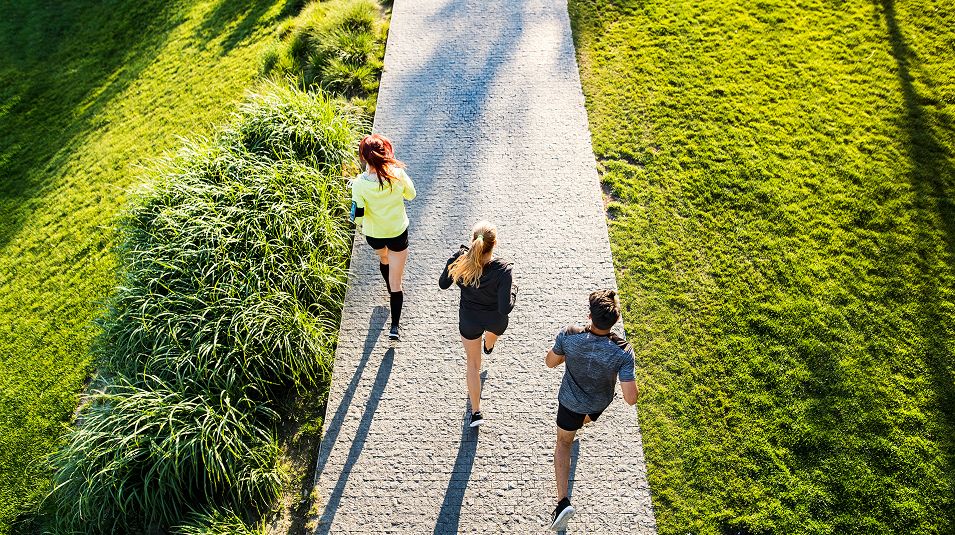 N Pic Exercise Running Park Group Top View