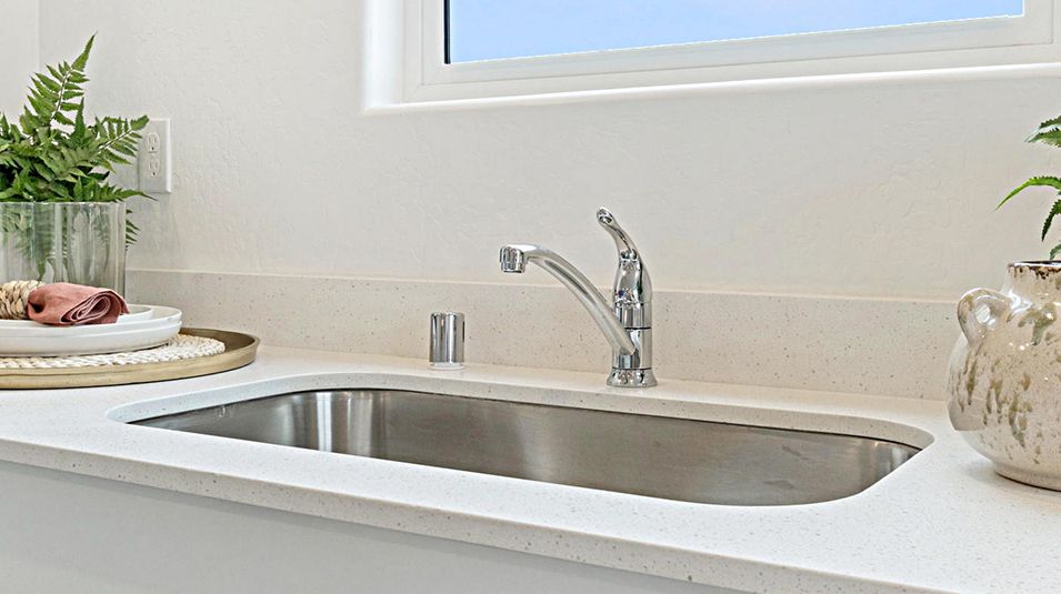 Valencia Gossamer Grove EI Sink