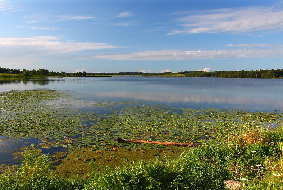 Shabbona Shabbona Lake