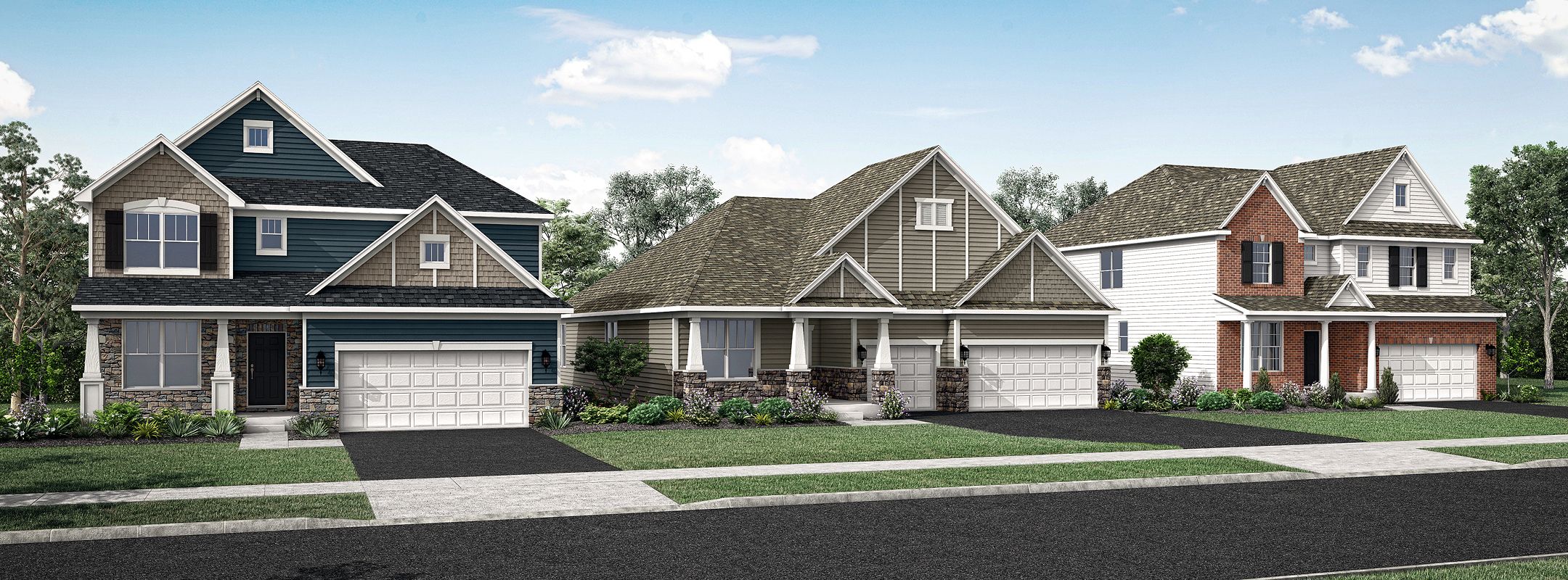 Single Family Algonquin Meadows Streetscape