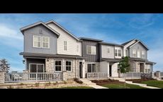Timber Lark - The Pioneer Collection: Fort Collins, Colorado - Lennar
