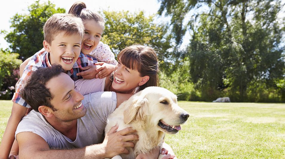 N Pic Family Park Parents Kids Dogpile