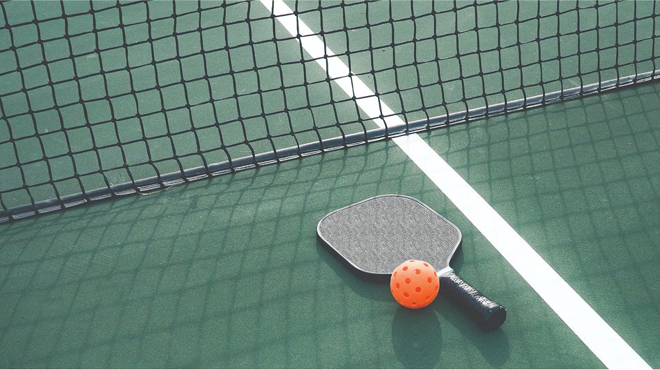 N Pic Sports Pickleball Court Racket