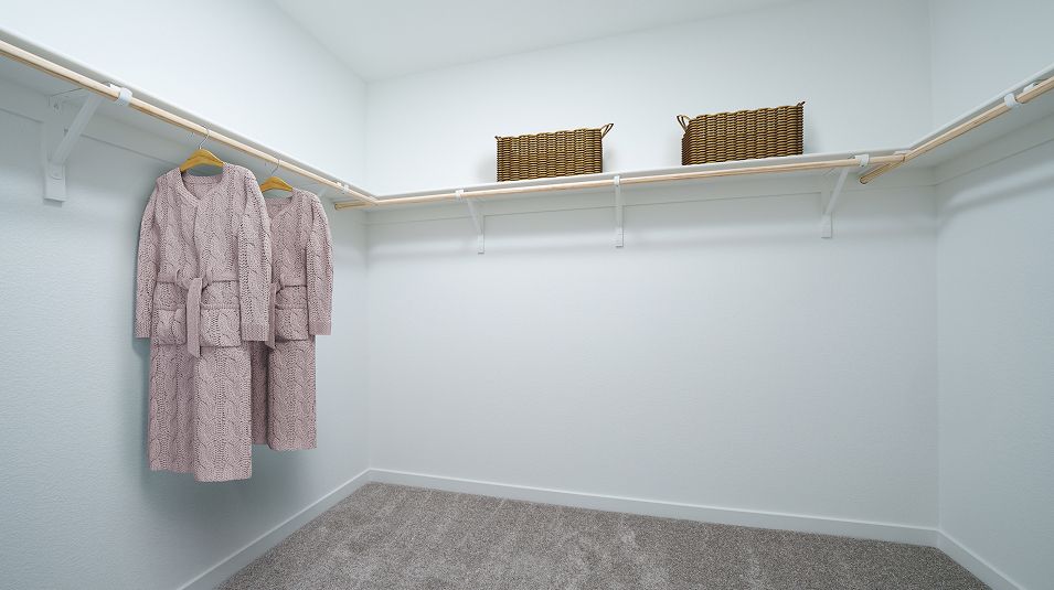 Owner's walk in closet