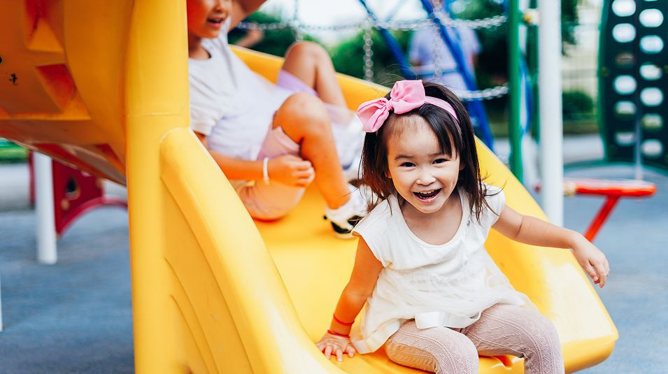 N Pic Kids Playground Toddler Girl Slide