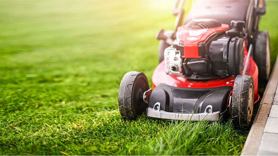 N Pic Decor Home Lawnmower
