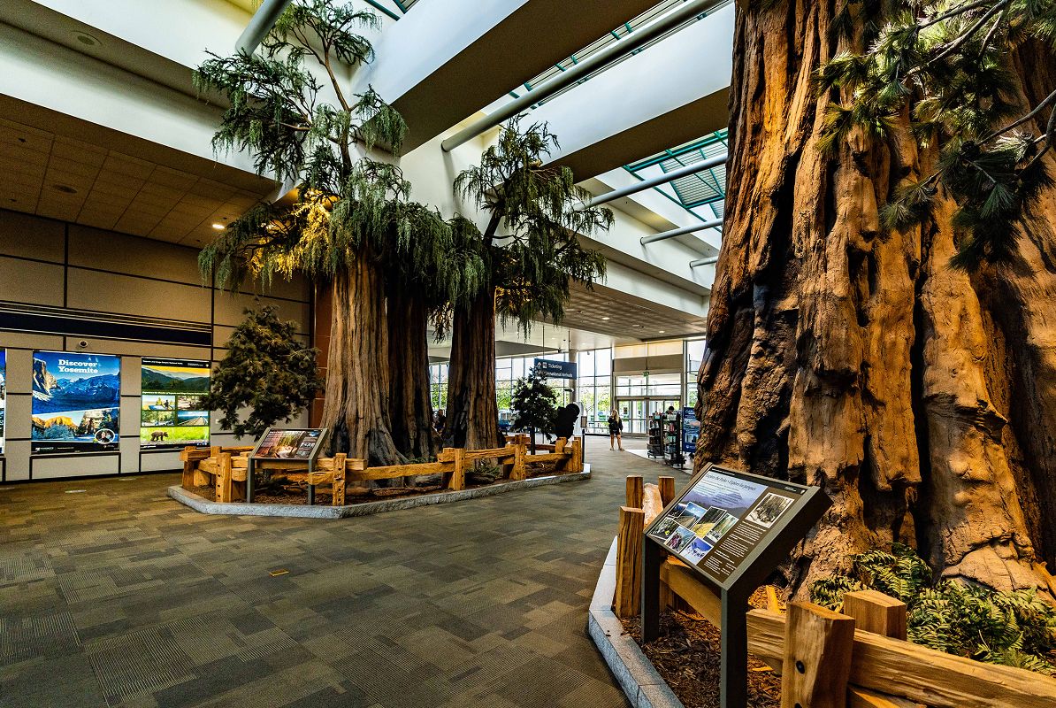 Fresno FAT Airport Trees Photoshoot 1of2