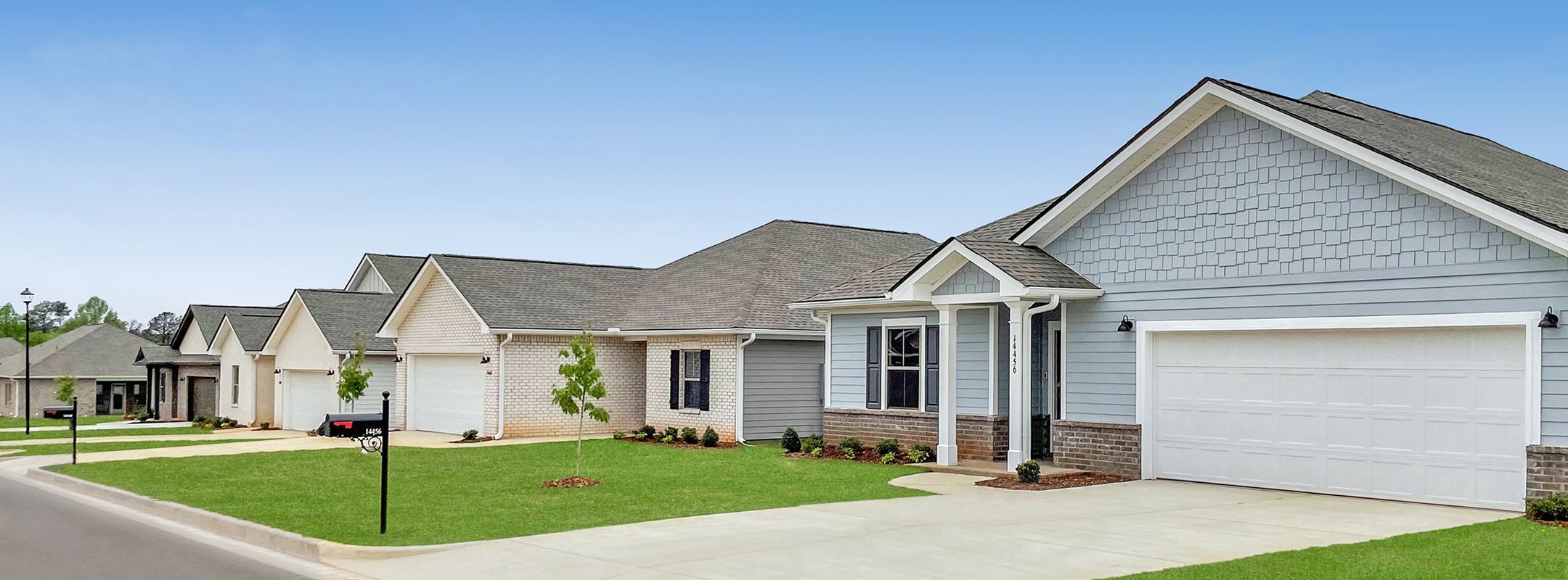 Southern Trail Streetscape Pic