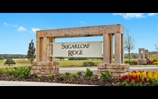 Sugarloaf Ridge - Paragon Collection: Minneola, Florida - Lennar