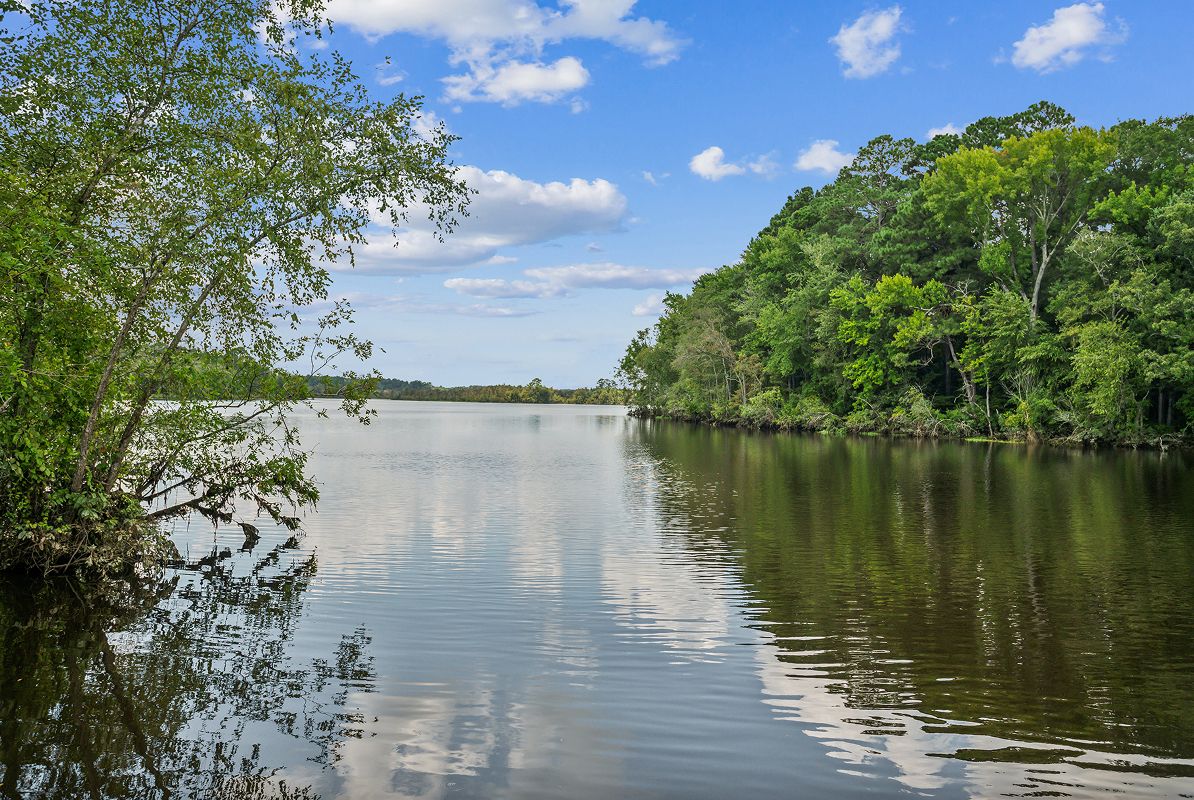 Wilson Wiggins Mill Reservoir 1of19