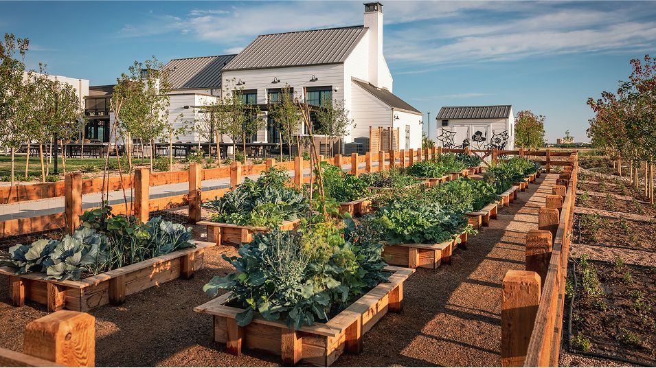 Kinston Amenity Community Garden
