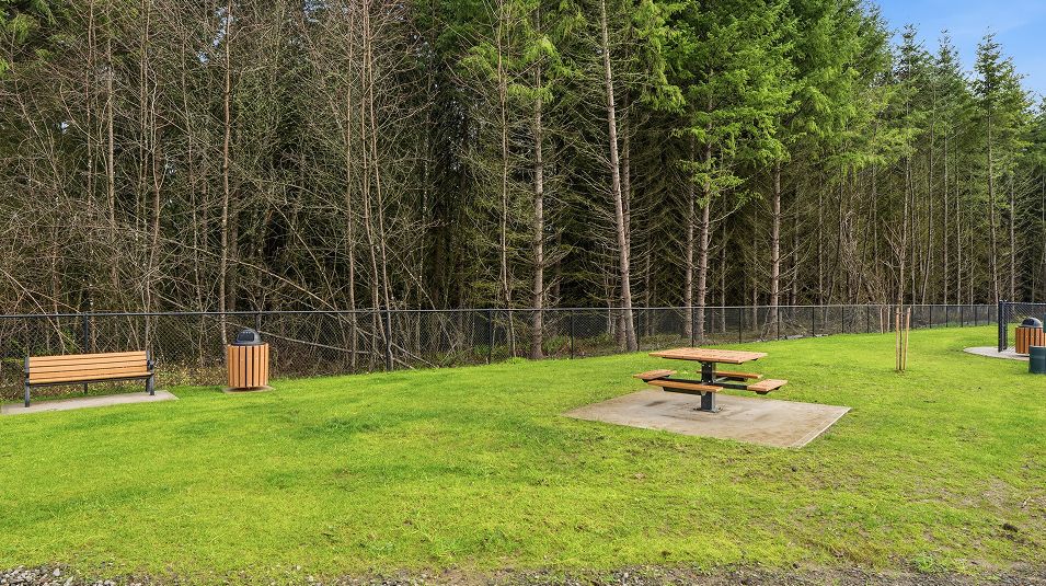 Ramble Creek Amenity Dog Park