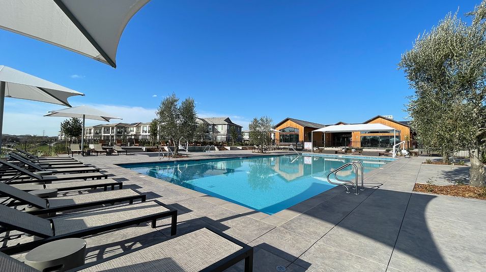 One Lake Amenity Swimming Pool 2of3