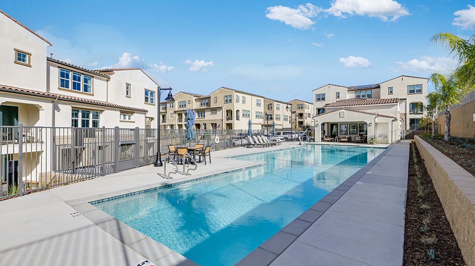 Brix Amenity Pool 8of9