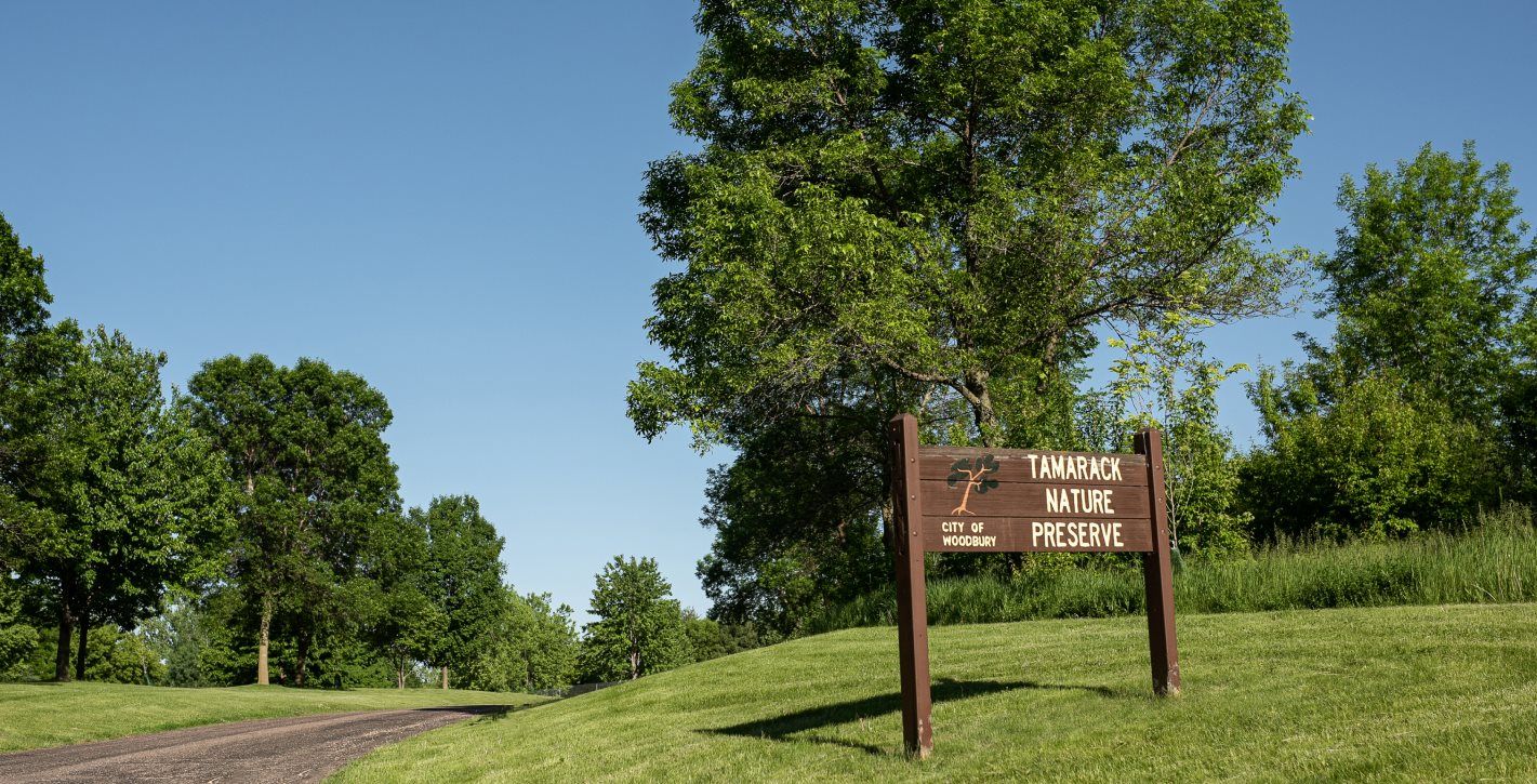 Tamarack Nature Preserve