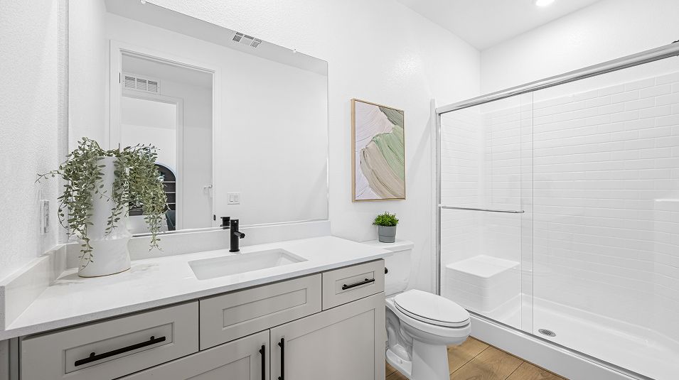 Quartz countertops