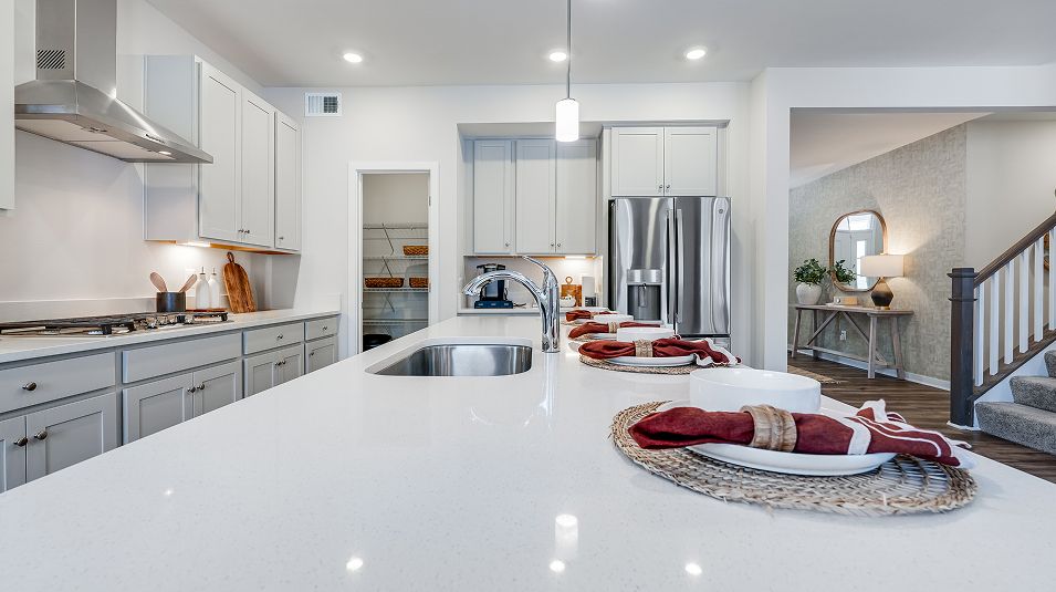 Executive Harpers Mill EI Granite Countertop F1
