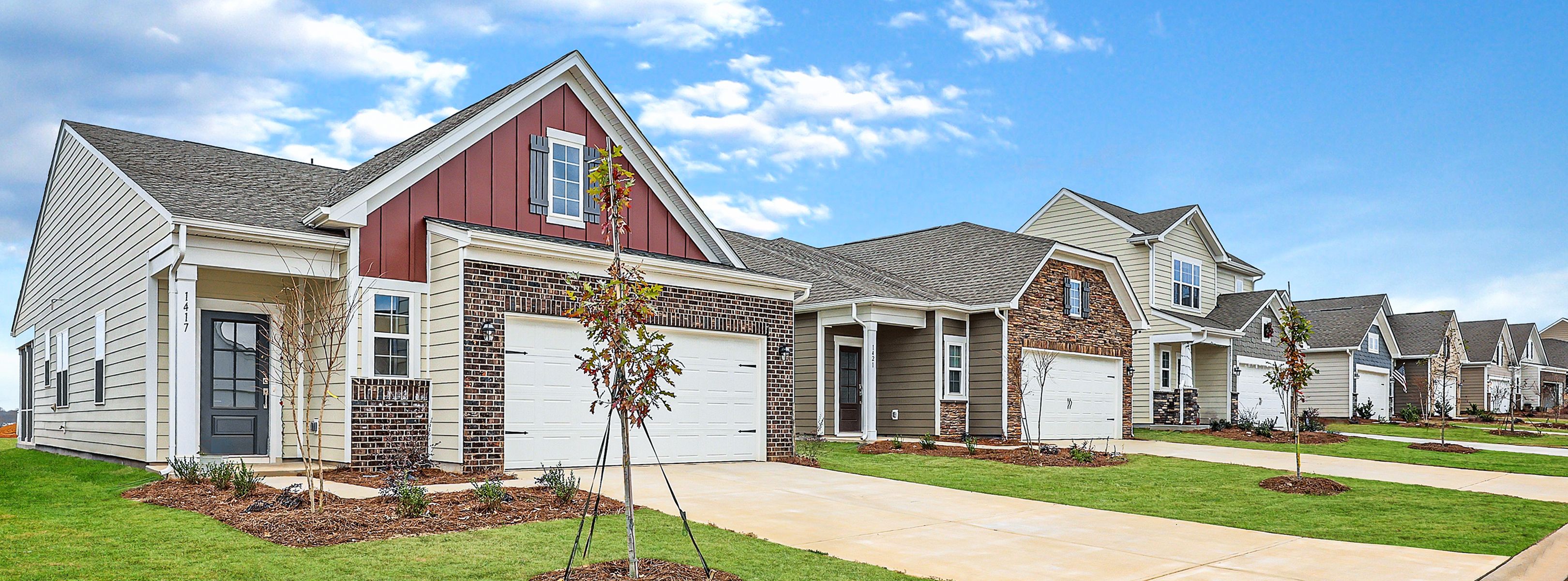 Orchards Collection Streetscape 1of2 041425