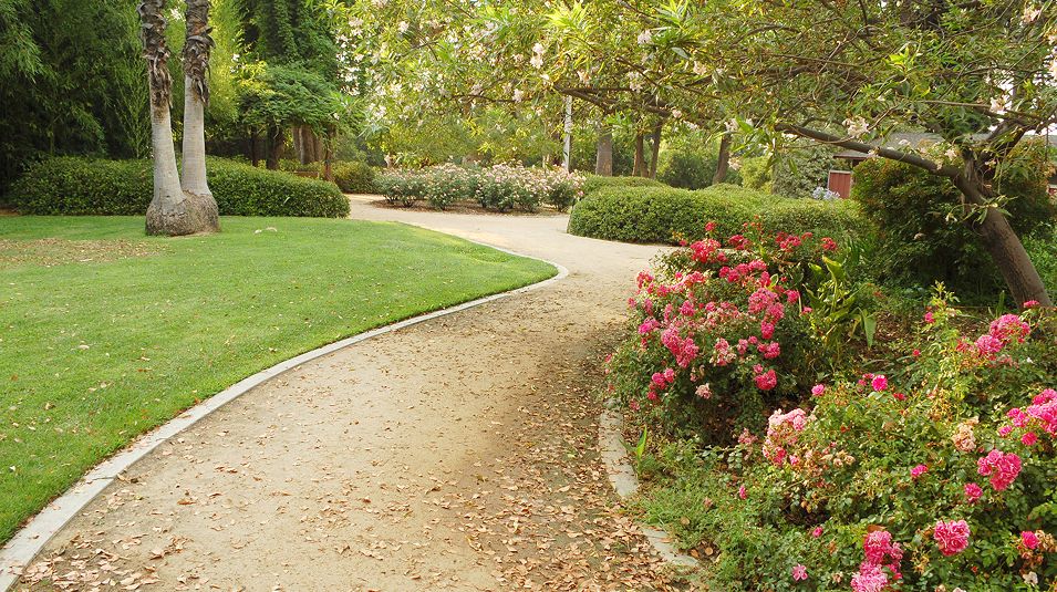 N Pic Activities Park Trail Flowers