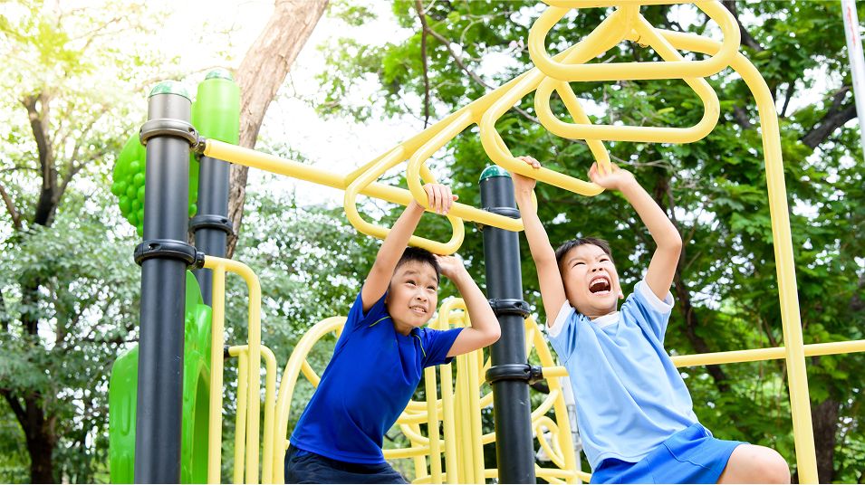 N Pic Kids Playground Brothers Monkey Bars