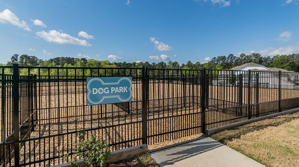 Divisional Amenity Dog Park