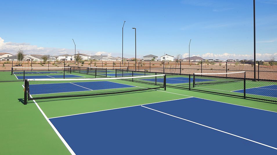 Asante Artisan Amenity Pickleball Dev