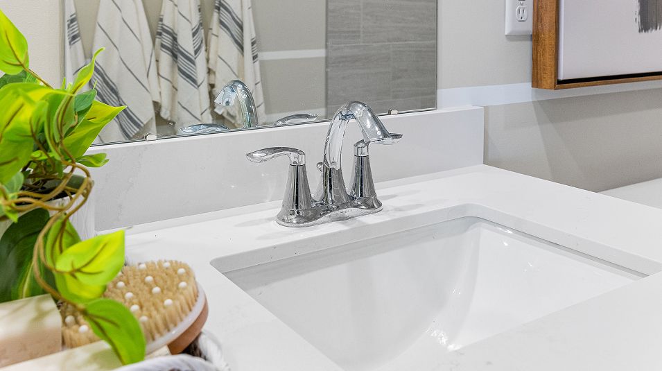 Reserve Turgyan Farm EI Hickory Vanity F2