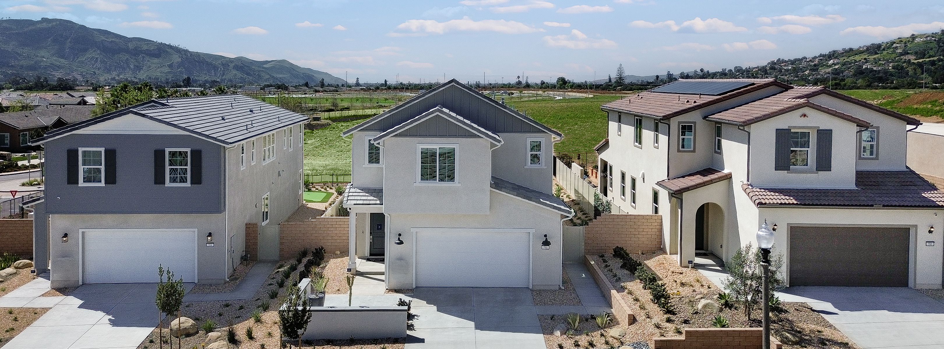 Oak Harvestat Limoneira Exterior 9of10