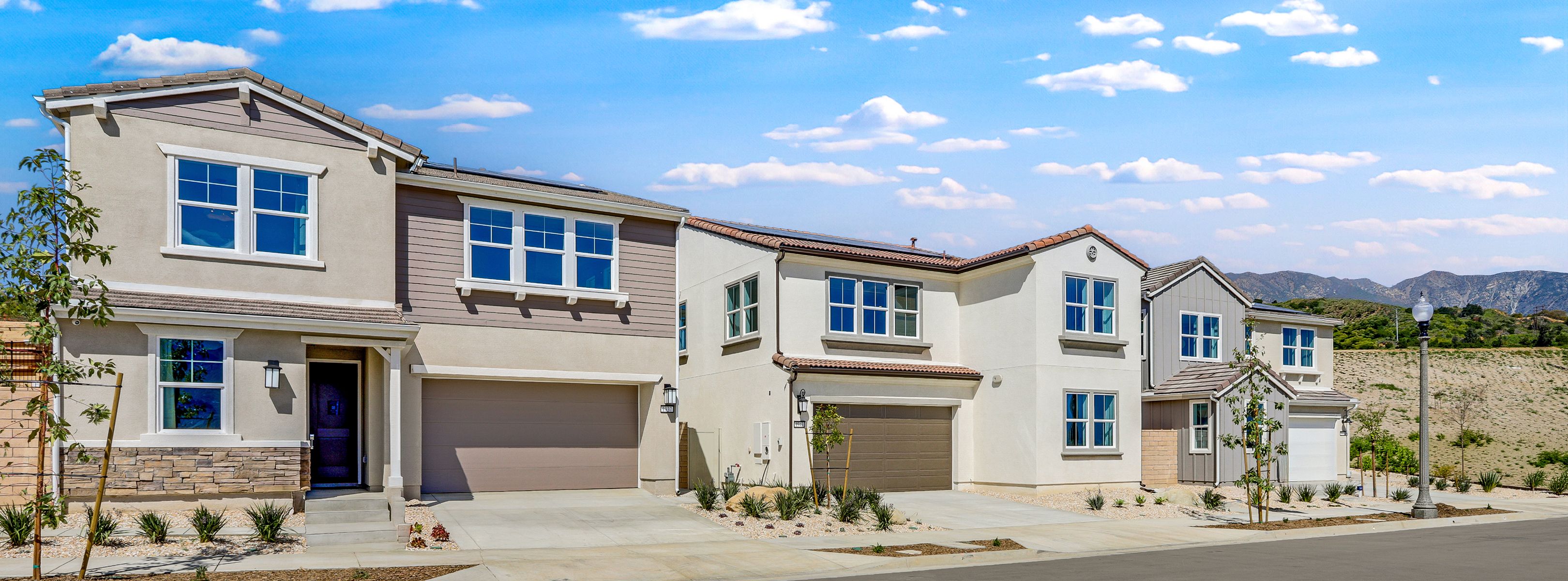 Sycamore Harvestat Limoneira Exterior 5of8