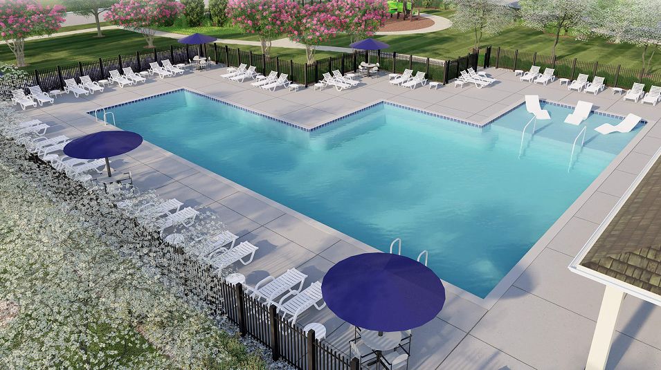 The Vines Amenity Pool 1of2