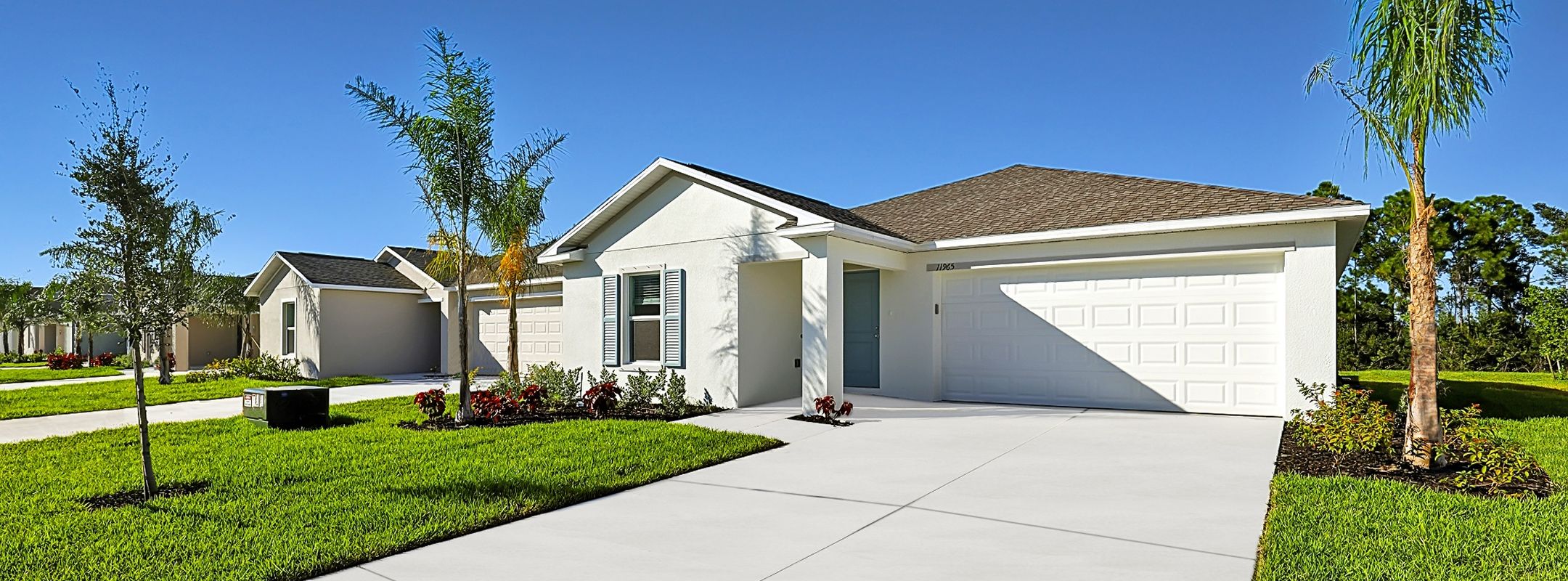 Patio Homes Savanna Lakes Streetscape