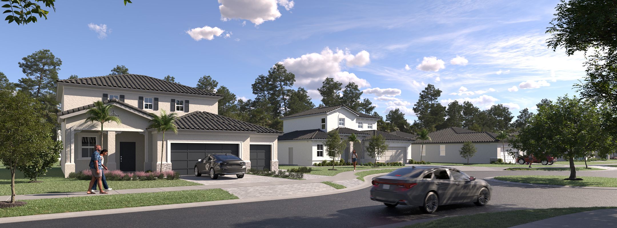 Palm Heron Pointe Streetscape