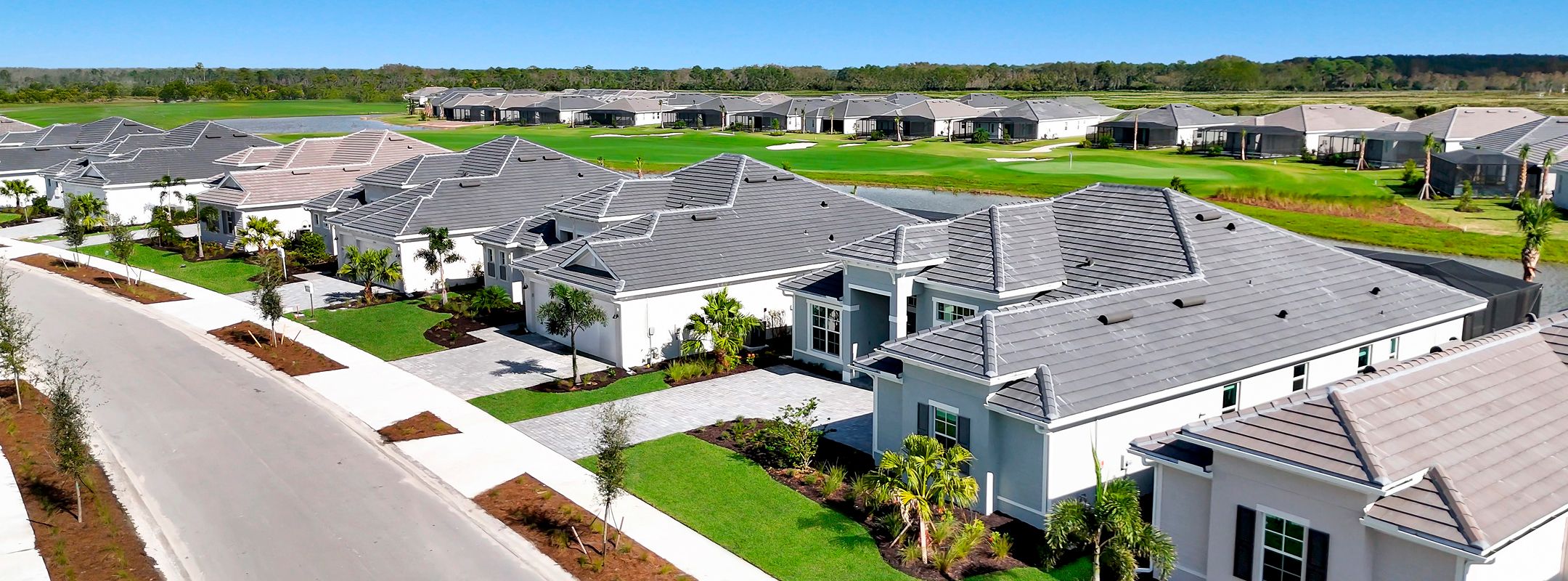 Estate Homes Webbs Reserve Streetscape 2of2