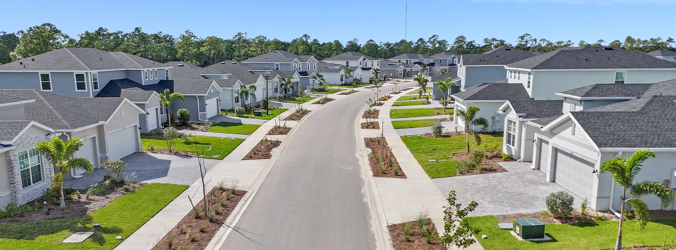 Manor Homes Tuckers Cove Streetscape