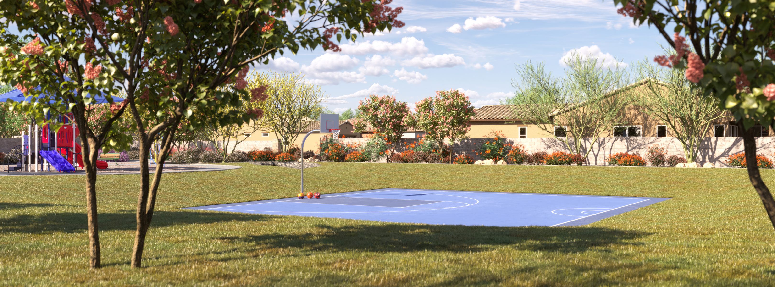 Aloravita Amenity Basketball