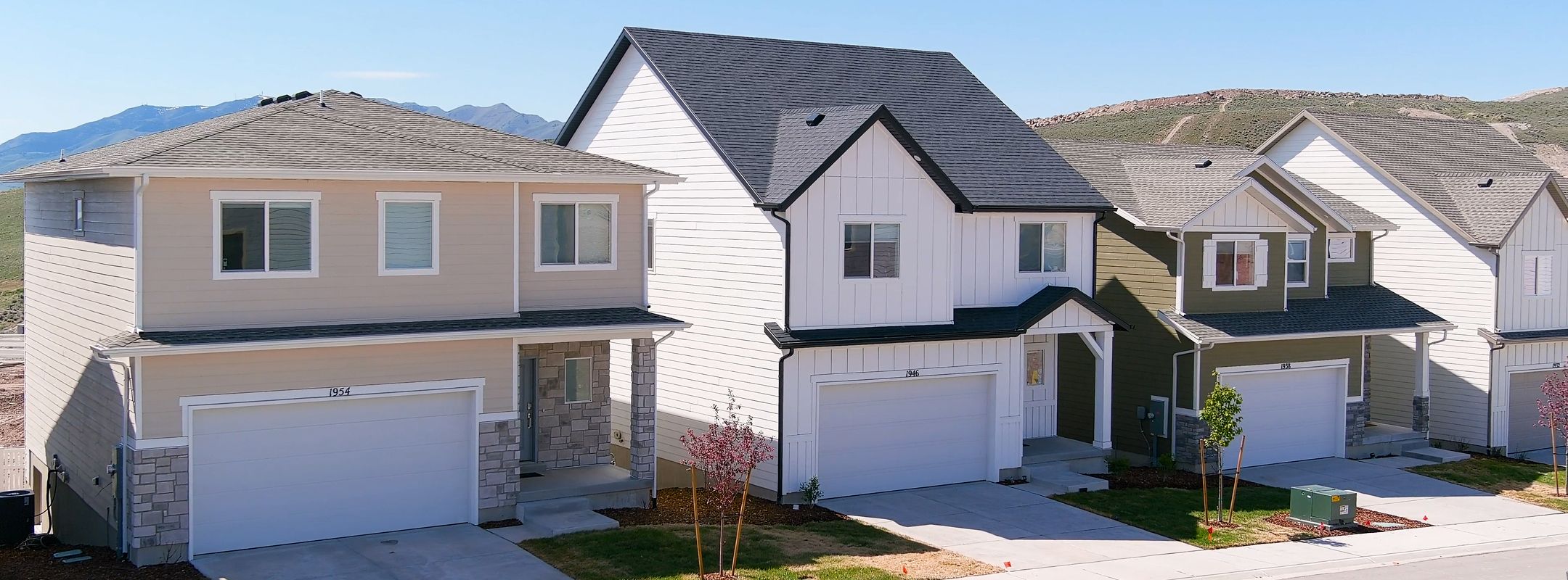 34599 The Valley Wildflower CP 03