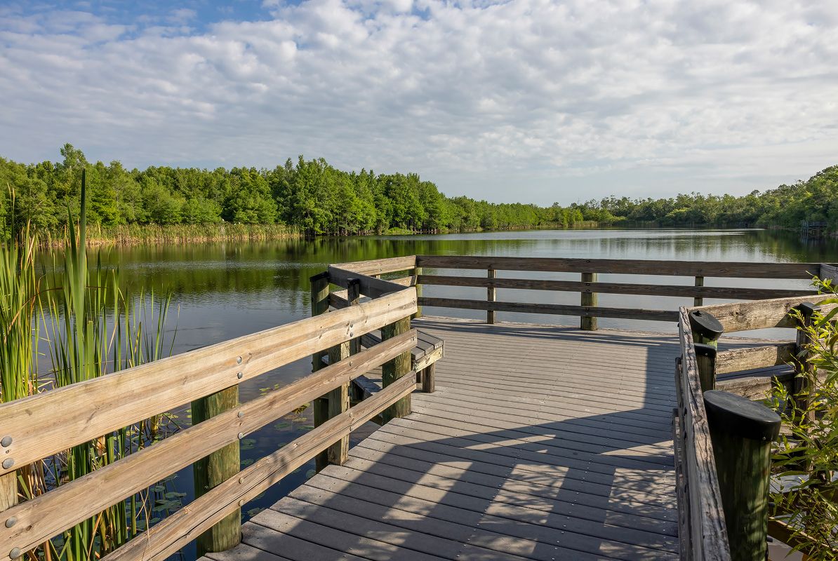 Southwest Fort Myers Six Mile Slough 10of11 3 26 26