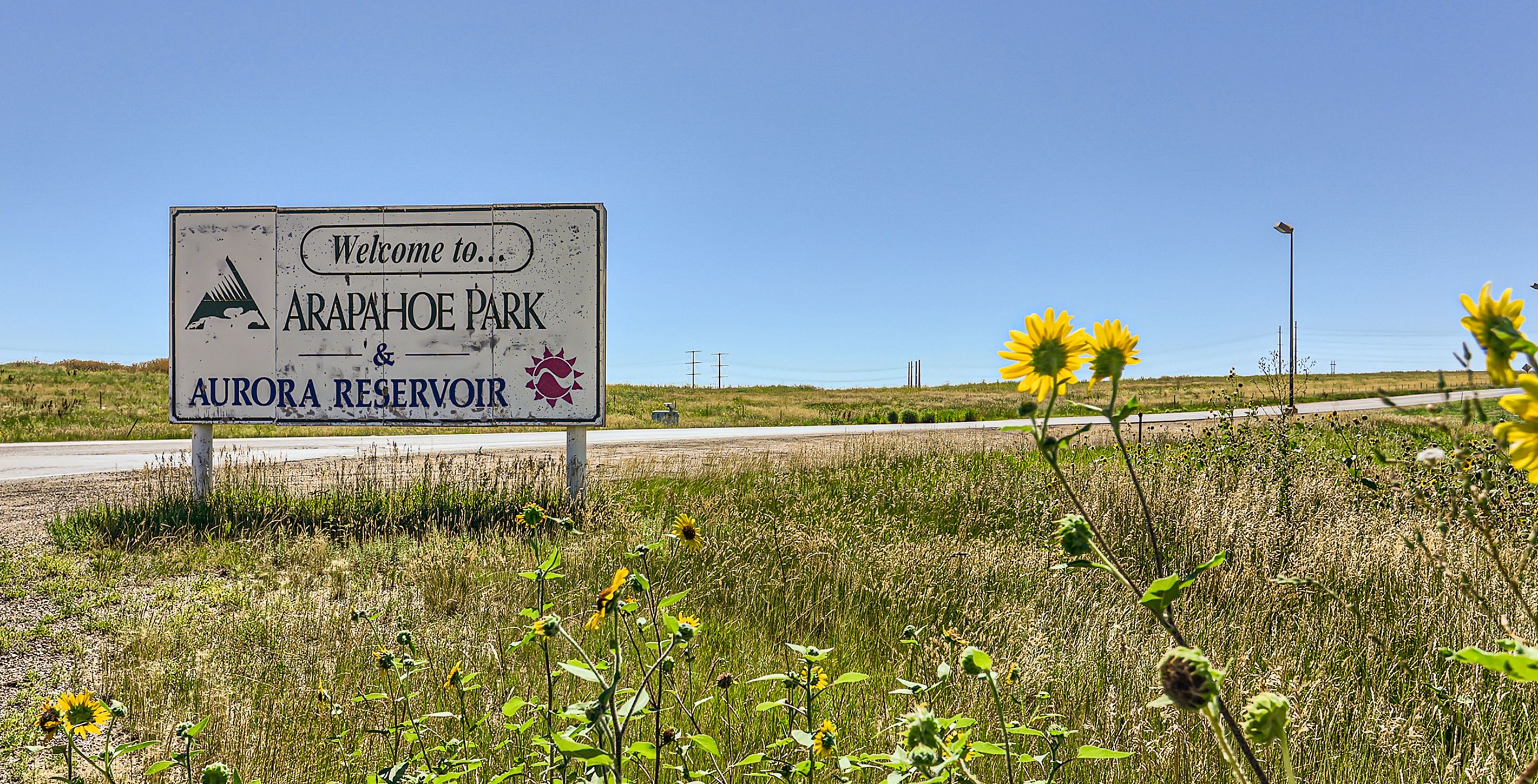 Aurora Aurora Reservoir Photoshoot