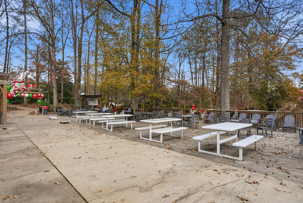 BHM Jemison Peach Park 5of8