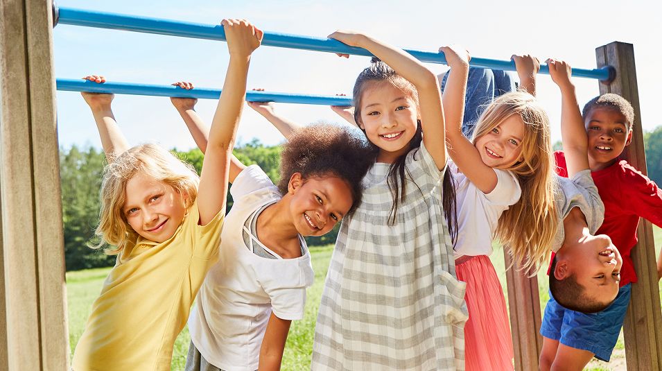 N Pic Kids Playground Group Hanging Bars
