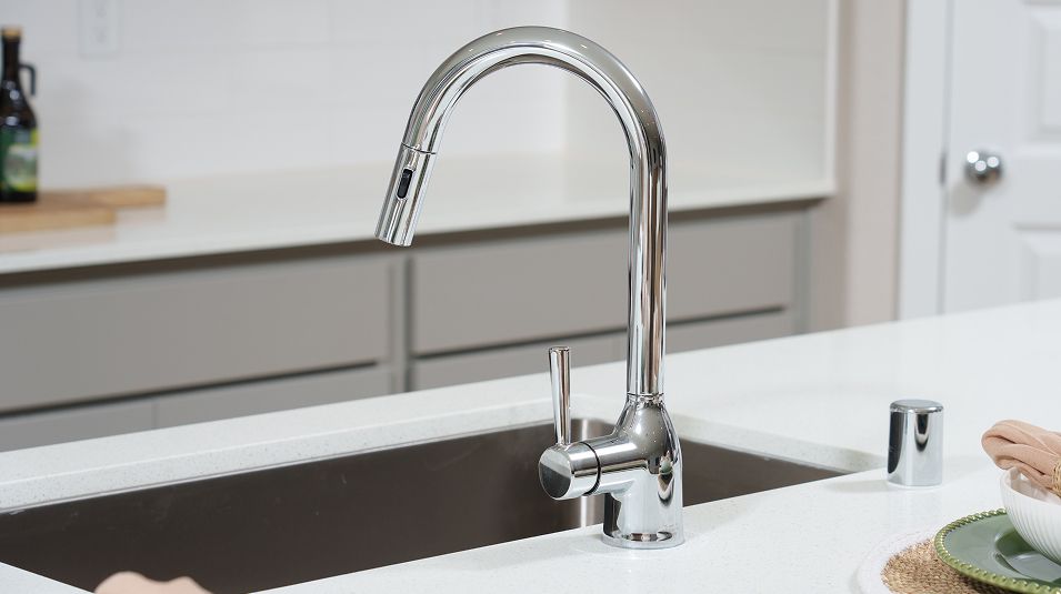 Cedar Glen Summerfield EI Kitchen Faucet F1