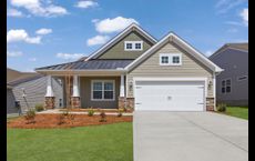 Roselyn - Garden: Lancaster, South Carolina - Lennar