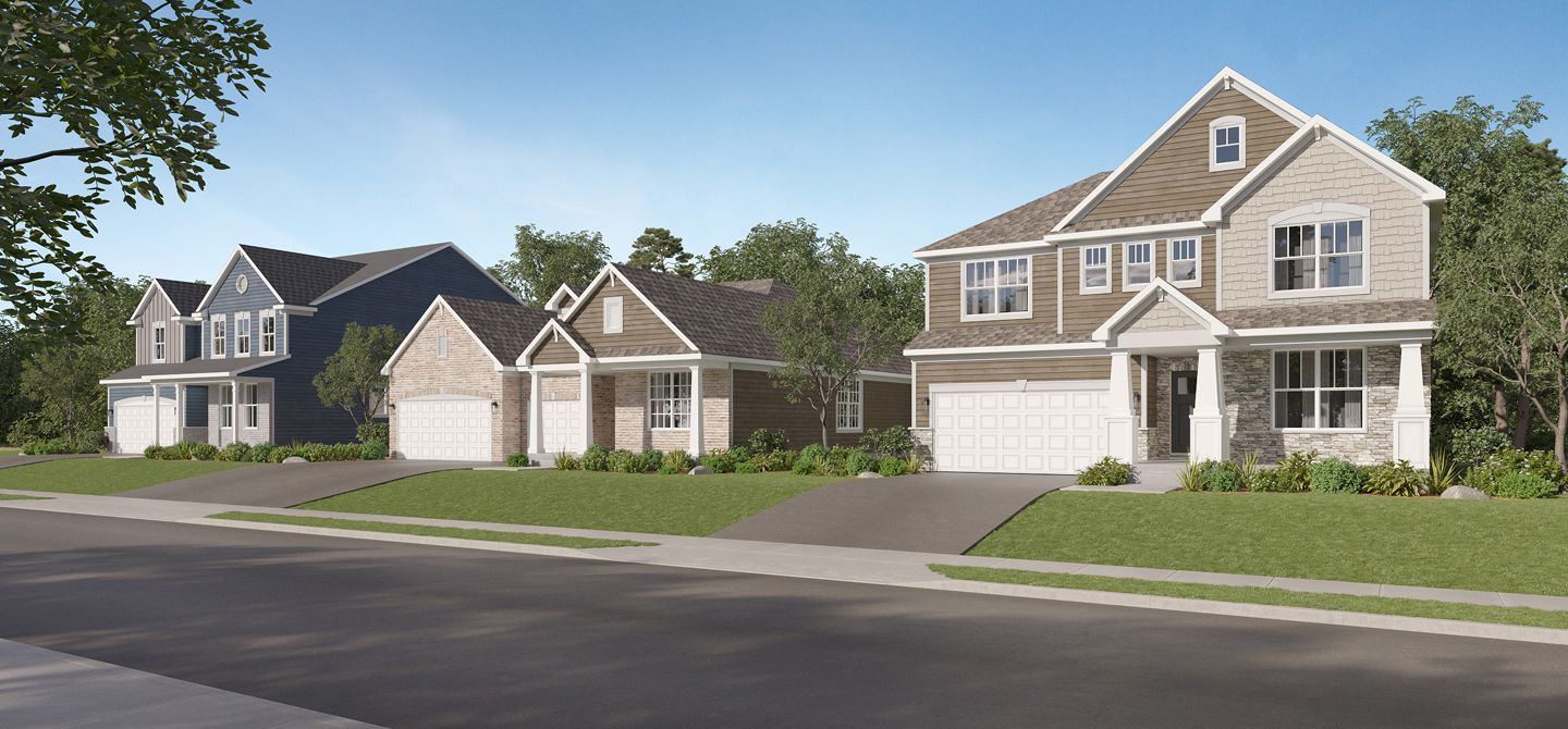 Algonquin Meadows Streetscape 2of2