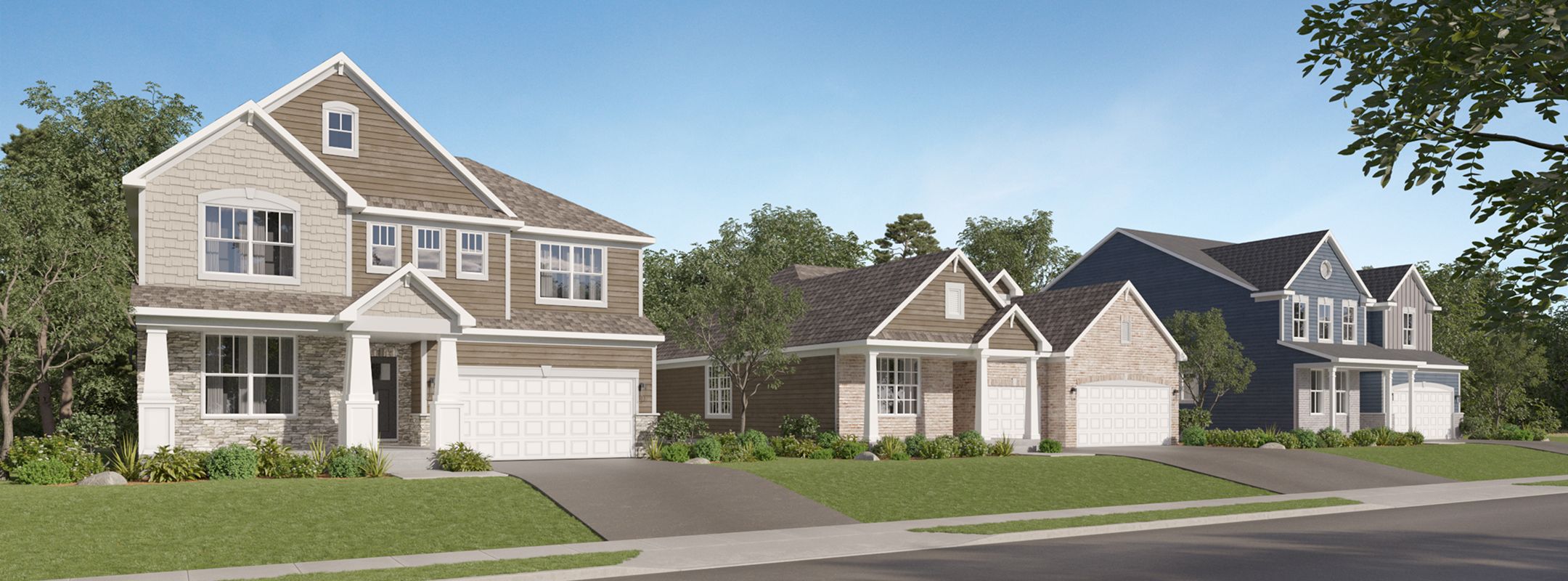 Algonquin Meadows Streetscape 1of2