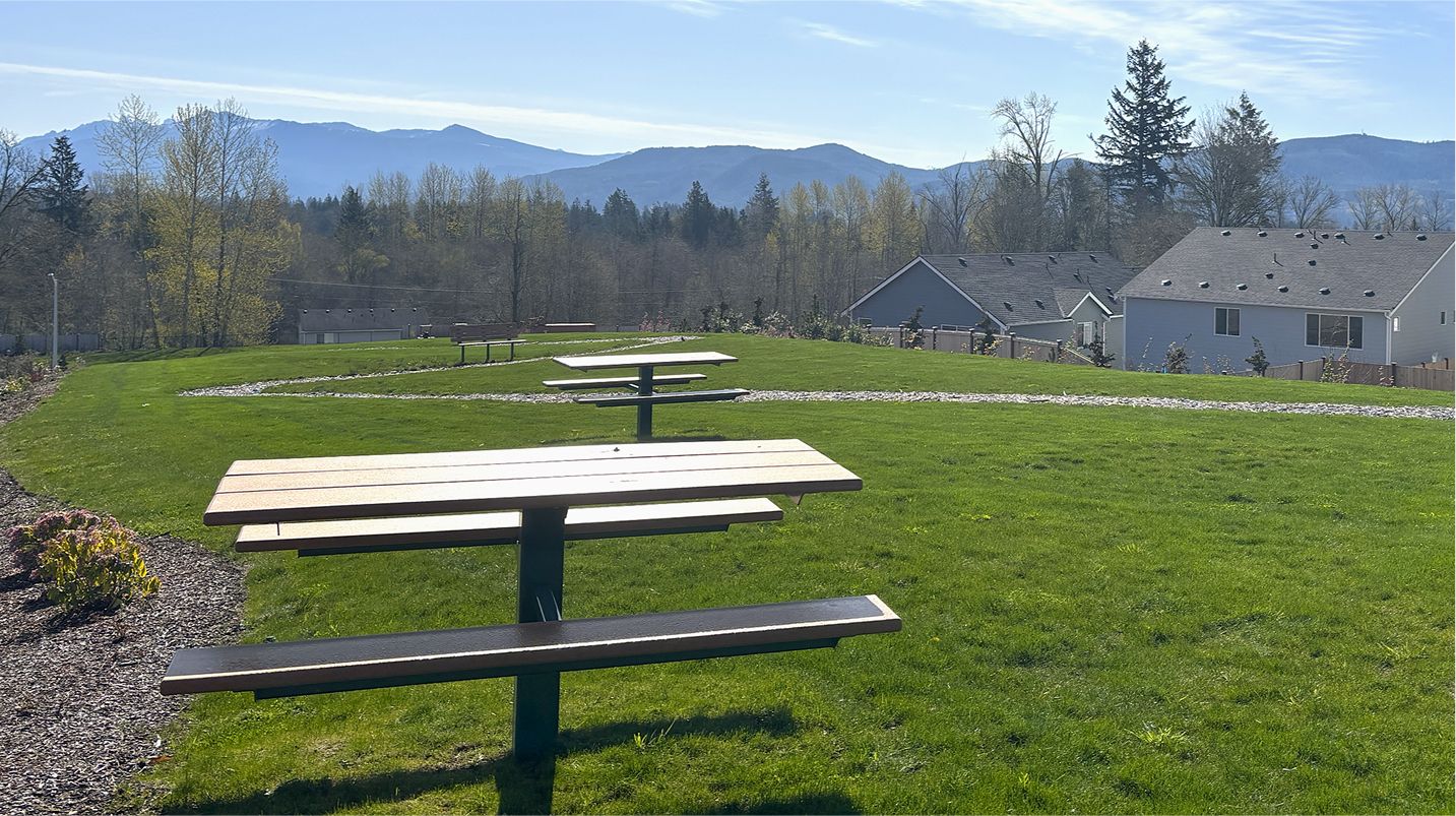 Stoneridge Amenity Picnic