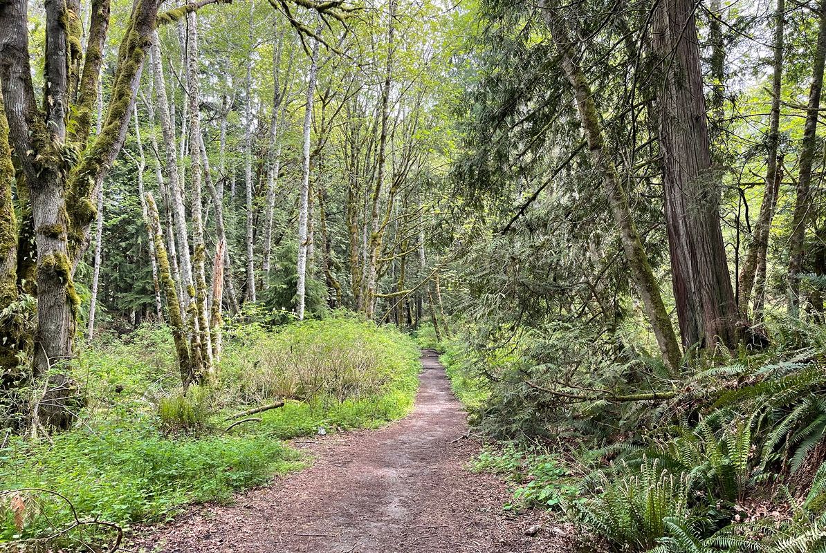 Seattle Silverdale Anderson Trail