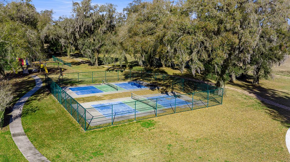 Grand Oaks Manor Amenity pickleballcourt