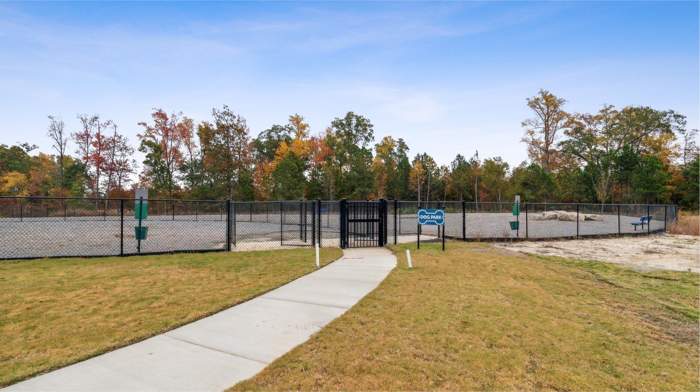 Trace at olde towne dog park