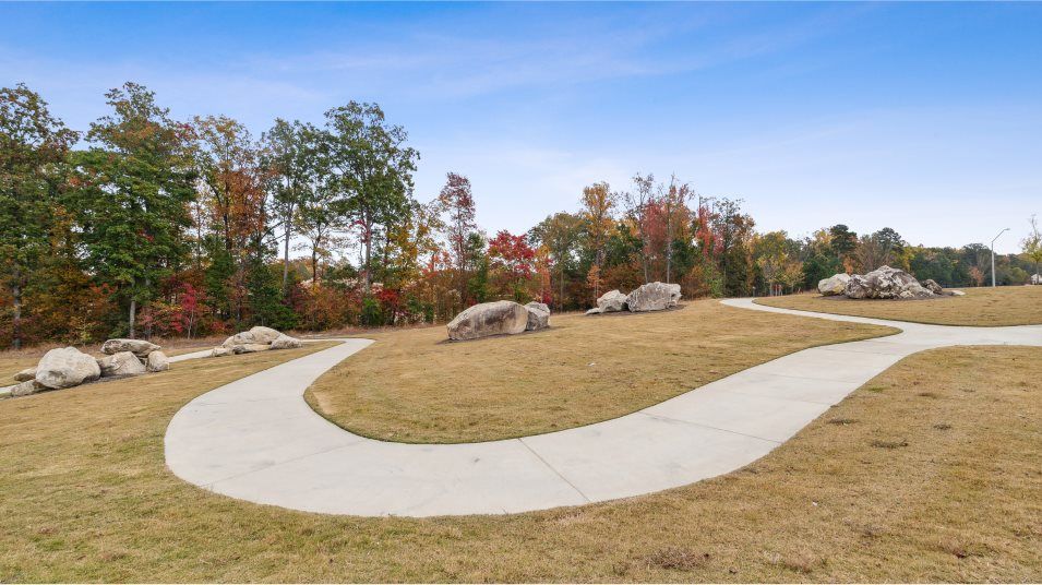 Trace at Olde Towne Park Amenity